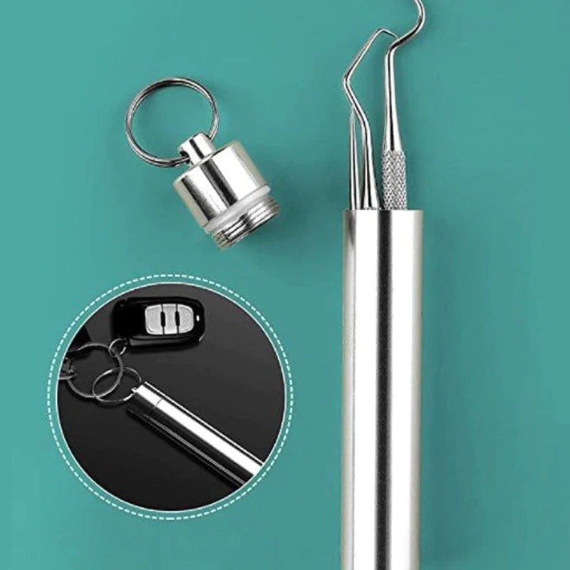 Stainless Steel Toothpick Set