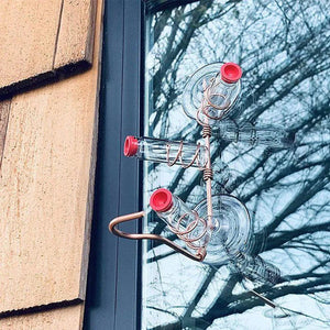 Window Hummingbird Feeder