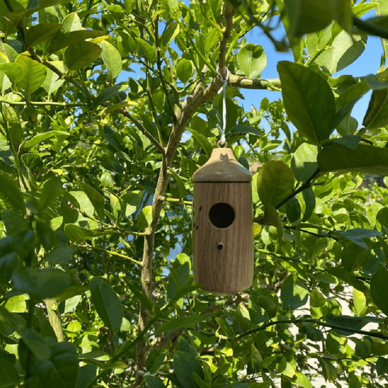 Hummingbird House