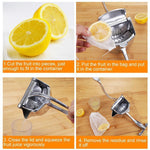 Fruit Juice Squeezer