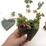 Planting Succulent Heart Pocket Planter