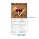 The funniest calendar of this century | The "artistic expression" of furry friends