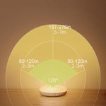 Intelligent human induction LED night light